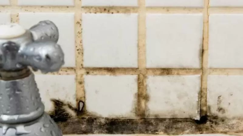 <div class="migrated-promo-image__description"><div class="migrated-promo-image__source">Fuente: Archivo </div></div>