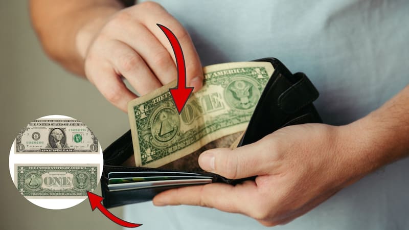 <div class="migrated-promo-image__description"><div class="migrated-promo-image__source">Fuente: Freepik</div></div>