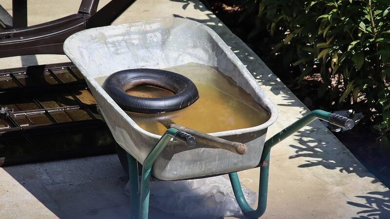 Los expertos recomiendan evitar el agua estancada y desinfectar las zonas de reproducción.