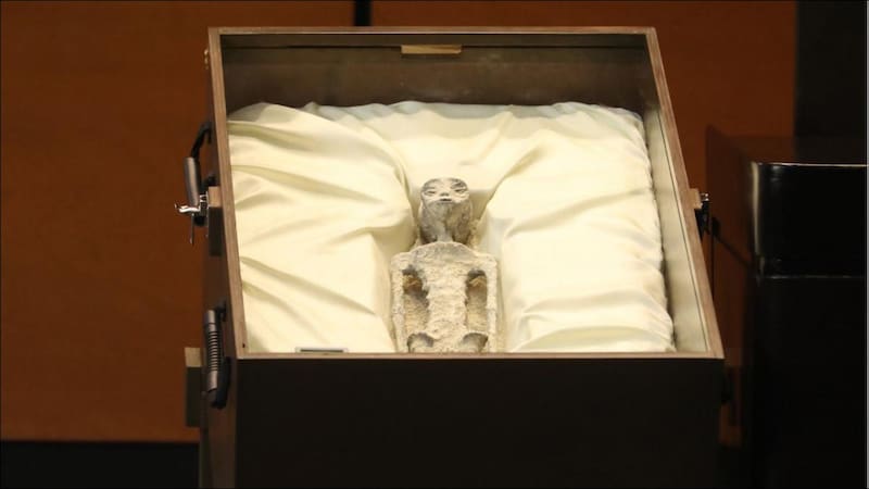 México se podría convertir en el primer país del mundo en reconocer la presencia de no humanos en el planeta. Fuente: Archivo El Cronista.