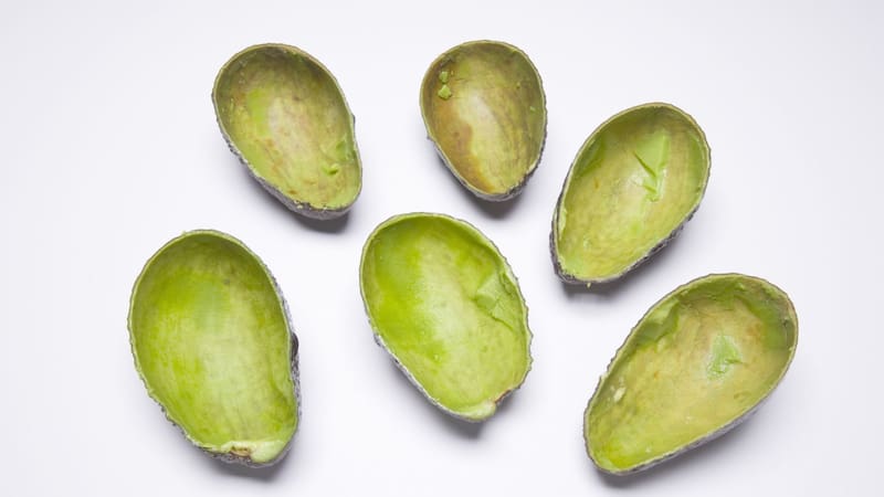 La mezcla de cáscaras de palta con vinagre es utilizada como fertilizante natural para plantas de interior y exterior. (Fuente: Archivo)
