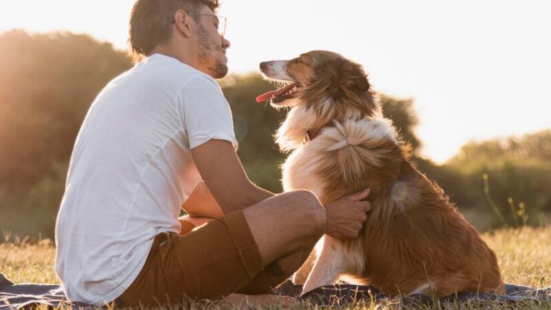 La ciencia confirma que pasar tiempo con tu perro puede ayudarte a disminuir el estrés.