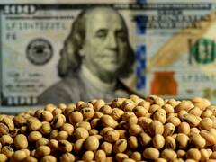 El dólar soja 2 llegó a u$s 3000 millones y Agricultura negocia una medida con el BCRA para productores