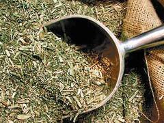 Yerbateros festejan suba del volumen de la materia prima