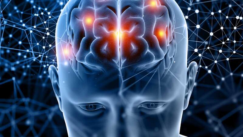 Se cree que la bacopa es responsable de efectos beneficiosos para el cerebro. (Fuente: Archivo).