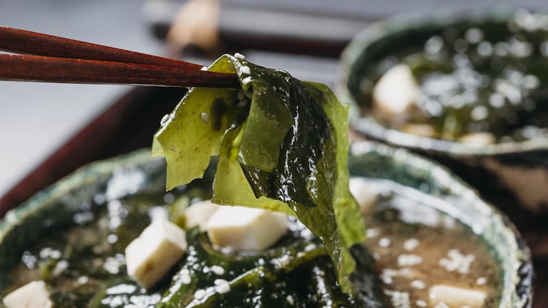 <div class="migrated-promo-image__description"><div class="migrated-promo-image__source">Fuente: Freepik</div></div>