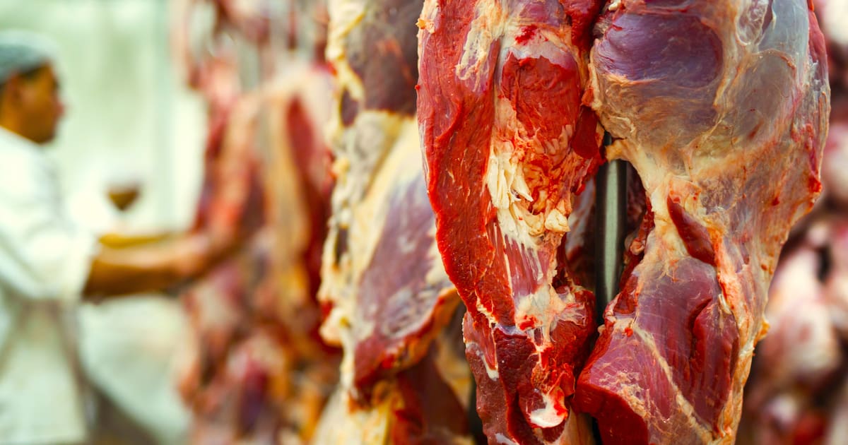 En 1960 fue erradicado de todo el país: 66 años después regresó y amenaza con hacer incomprable la carne en Estados Unidos