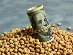 ¿Dólar soja? La devaluación que reclama el agro para liquidar exportaciones