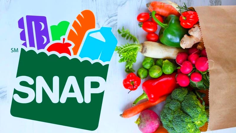 SNAP implementará importantes cambios a partir del año siguiente. Fuente: archivo.