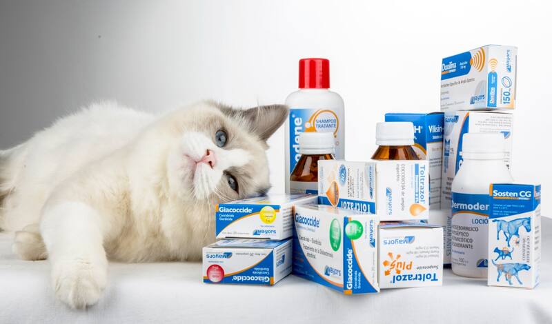 Los productos que vendía hasta ahora Mayors conservarán su nombre, explicó Perretta, y paulatinamente se les sumará el sello de Biogénesis Bagó.