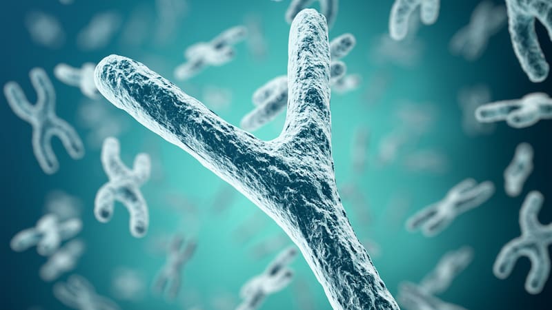 <div class="migrated-promo-image__description"><div class="migrated-promo-image__source">Fuente: Archivo</div></div>