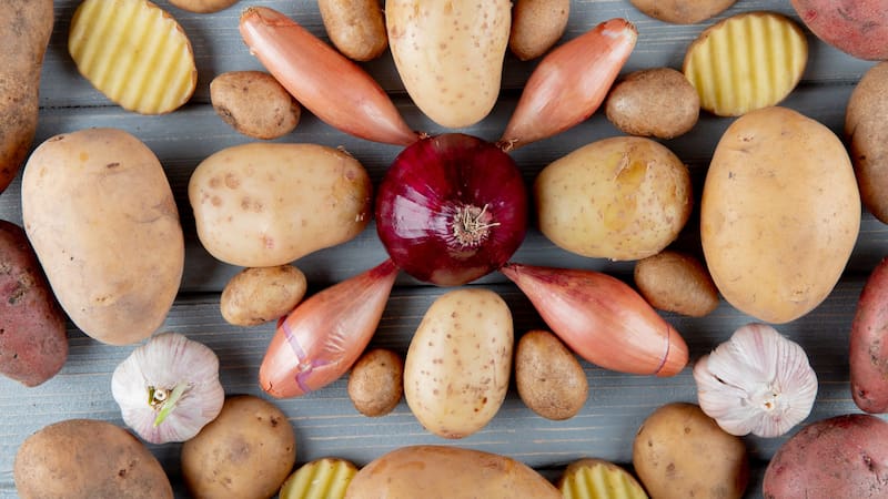 Hay un tubérculo que contiene nutrientes esenciales para fortalecer el sistema nervioso y cerebral.