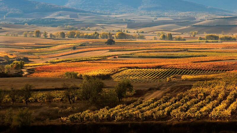 Con sus imponentes destinos, esta provincia cuenta con los atractivos turisticos más lindos.