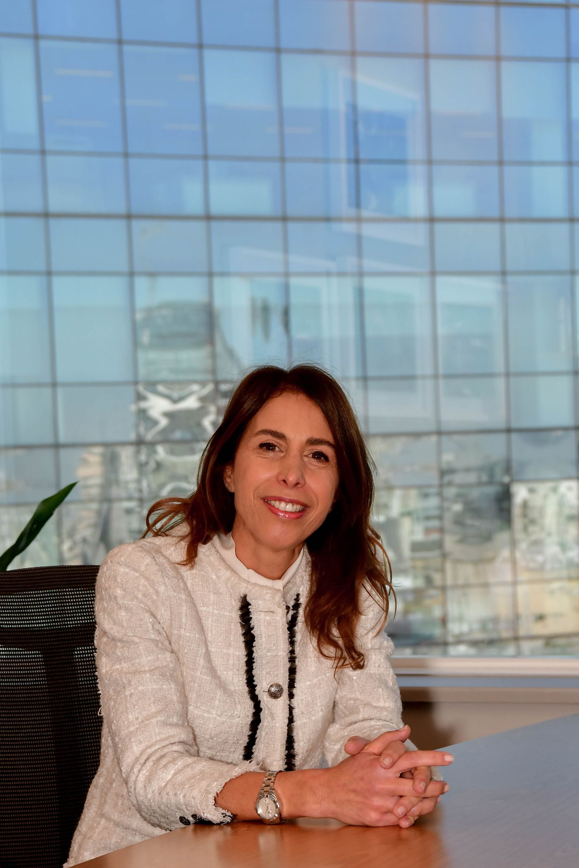 La empresa que anunció una inversión de u$s 800 millones evalúa presentarse al RIGI