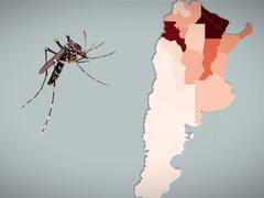 Dengue: en qué provincias golpea con mayor dureza el brote histórico que registra la Argentina