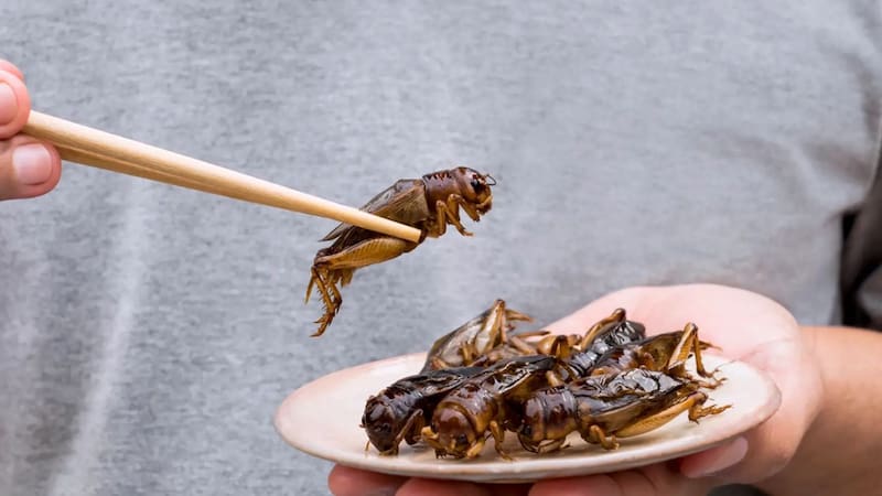 <div class="migrated-promo-image__description"><div class="migrated-promo-image__source">Fuente: Archivo</div></div>