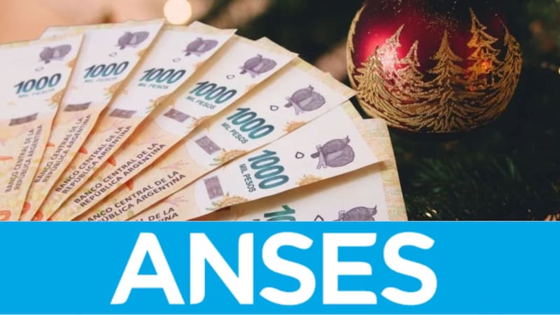 ANSES no pagará un extra a los jubilados con 30 años de aportes.