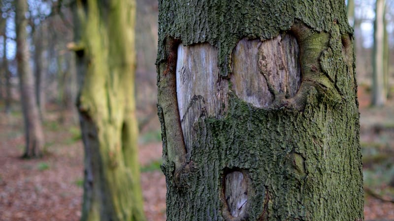 Los investigadores se sumergen en las redes neuronales para comprender por qué percibimos rostros en objetos inanimados.