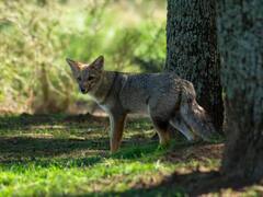 La estancia que abre paso a la aventura en la primera reserva patagónica