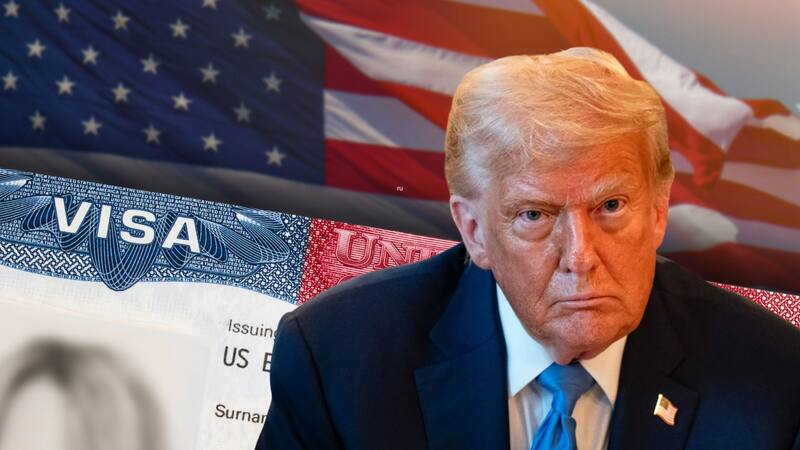 Los empleos que califican para la visa H-1B, una de las más solicitadas por los profesionales extranjeros.