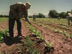 El gremio de un sector clave de la economía rechazó una oferta paritaria del 2% y se declaró en alerta