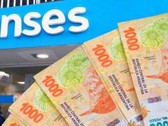 AUH ANSES: con aumento confirmado, ¿cuáles son los adicionales de diciembre 2024?