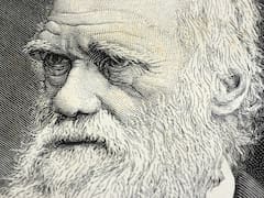 Charles Darwin tenía razón: el fenómeno oculto que nos hace más fuertes ante el cambio climático