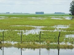Inundaciones: alertan por un panorama complicado para los próximos meses