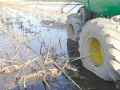 Hay más campos en venta y más baratos