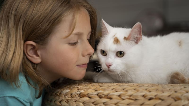 Los gatos pueden aprender a realizar trucos sencillos con el entrenamiento adecuado.