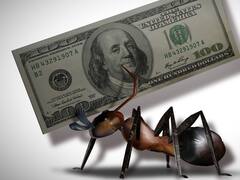 Boom de apertura de "cuentas hormiga" de argentinos en Estados Unidos