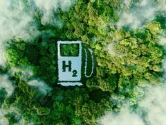 La nueva esperanza verde: esta nueva industria promete sumar dólares a la maltrecha economía argentina