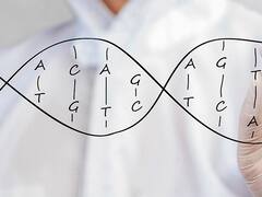 Es una de las "grandes promesas" de la región, le pusieron u$s 20 millones y ahora busca empleados en Argentina