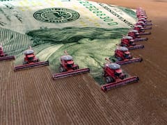 Mejora del dólar blend: las señales que esperan los productores para liquidar