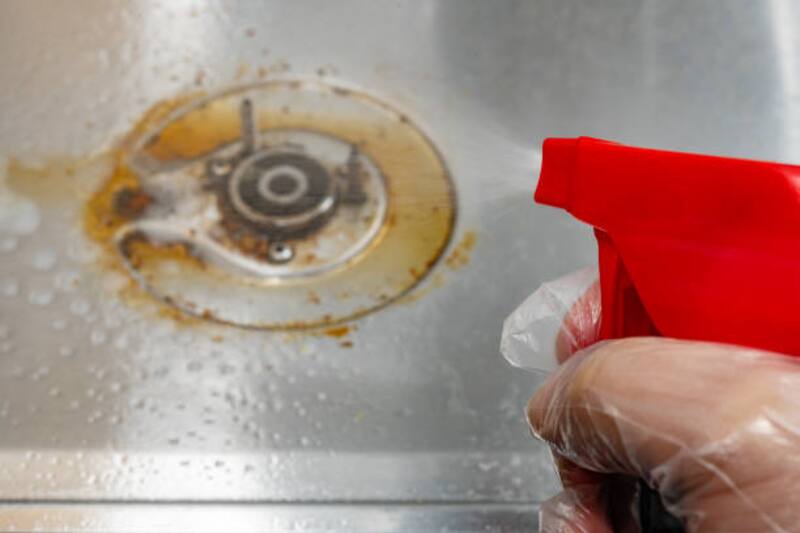 Las cáscaras de limón con vinagre es un desengrasante natural para los hogares. (Fuente: Archivo)