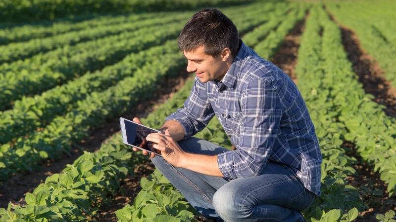 El 73 por ciento de los productores argentinos cuenta con maquinaria que toma y recopila datos.