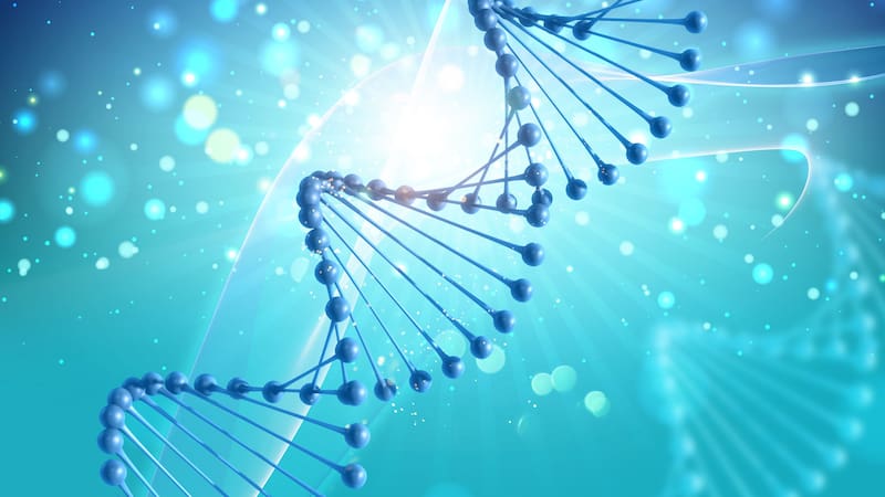 La herencia genética no es el único factor que define la inteligencia, ya que el entorno también desempeña un papel fundamental en su desarrollo.