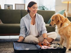 Qué significa que tu perro duerma arriba de tu ropa, según la psicología