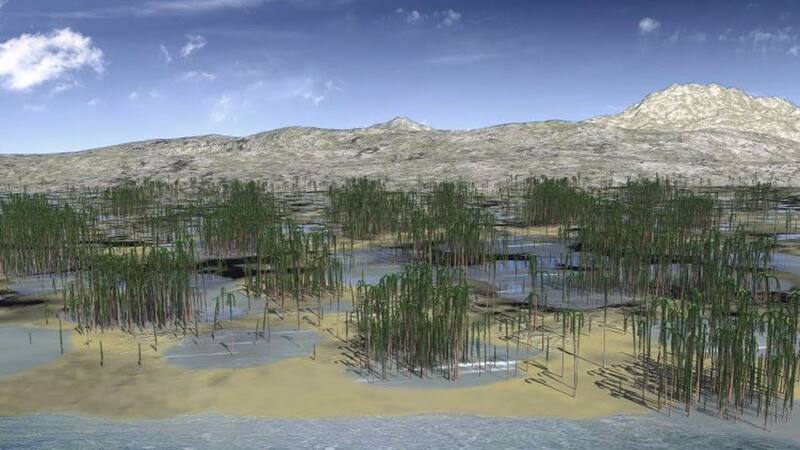 Descubren en China fósiles de 'bosque alienígena' de hace 400 millones de años.