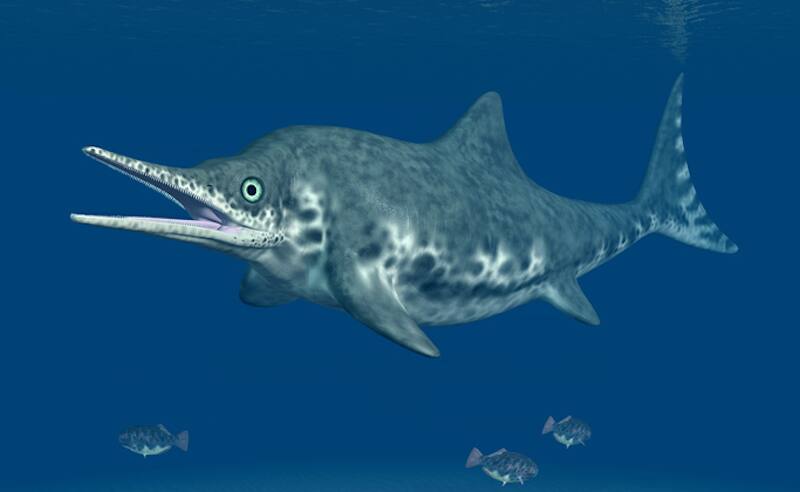 Así era el ictiosaurio, el réptil marino prehistórico. (Foto: Wikipedia).