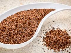 El super alimento repleto de proteínas que te ayuda a frenar el envejecimiento