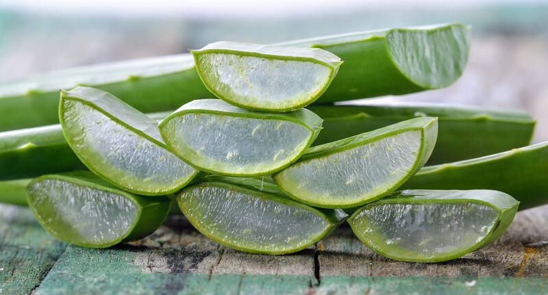 Cuáles son los beneficios del aloe vera para la salud. Fuente: archivo.