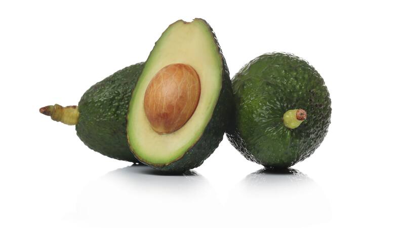 El futuro de la palta no está asegurado. Según la ciencia, podría desaparecer