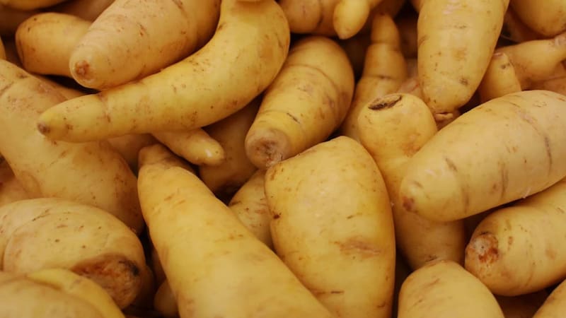 Calcio, potasio y vitaminas C y B | El tubérculo lleno de nutrientes que ayuda a perder peso y tener mayor saciedad.