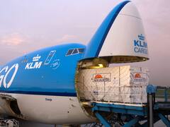 Enrique Falcón: “Somos los únicos que mantuvimos las escalas cargueras pre Covid