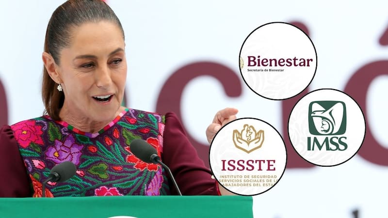 <div class="migrated-promo-image__description"><div class="migrated-promo-image__source">Fuente: Collage Canva</div></div>