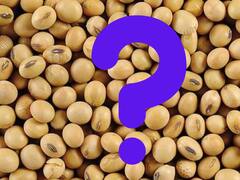 Saltó el precio de la soja por una noticia inesperada