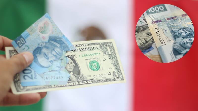 <div class="migrated-promo-image__description"><div class="migrated-promo-image__source">Fuente: Shutterstock</div></div>