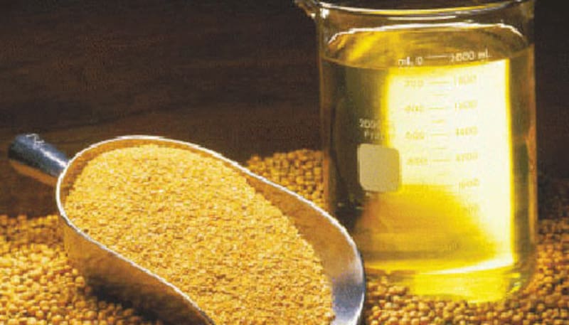 Cuáles son los beneficios para la salud del aceite de soya. Fuente: archivo.