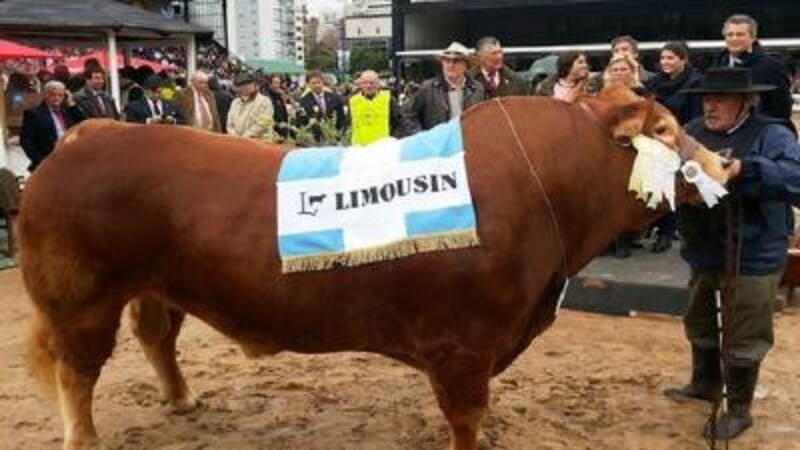 Las juras y concursos serán unas de la atracciones de la muestra